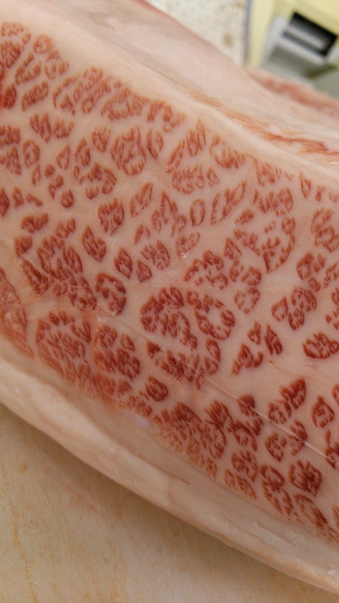 テスト!最近の仕入れ分です